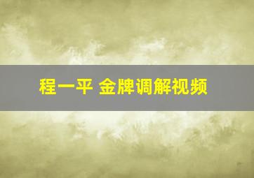 程一平 金牌调解视频